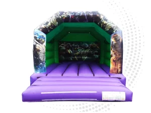 Turtles Bouncy Castle